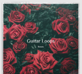 BK Andersen Guitar Loops Roses