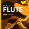 Boox Flute Tutorial Level 2 (Premium)