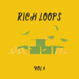 DiyMusicBiz Rich Loop Vol.8 [WAV] (Premium)