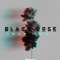 Samplestar Black Rose [WAV] (premium)