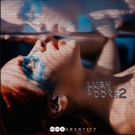 Audentity Records Lush Vocal Hooks 2 [WAV] (Premium)