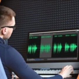 Udemy Audio Editing with WavePad FREE Audio Editing Software [TUTORiAL] (Premium)