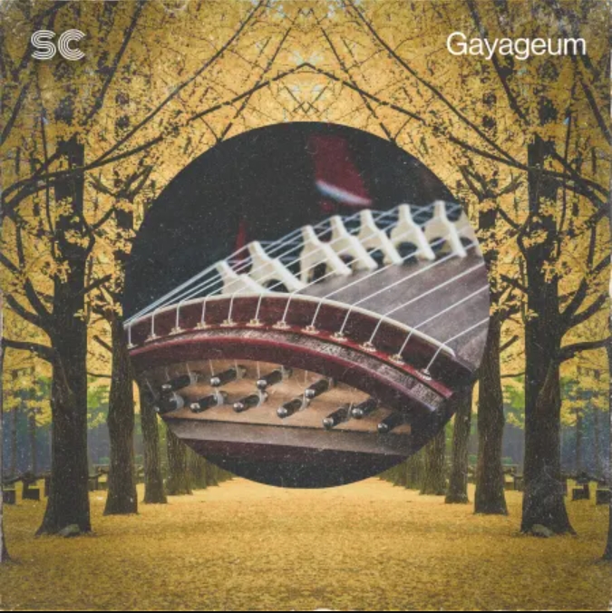 Sonic Collective Gayageum [WAV]