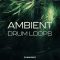 New Loops Ambient Drum Loops [WAV] (Premium)