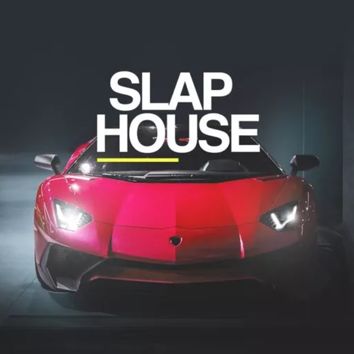 Whitenoise Records Slap House [WAV]