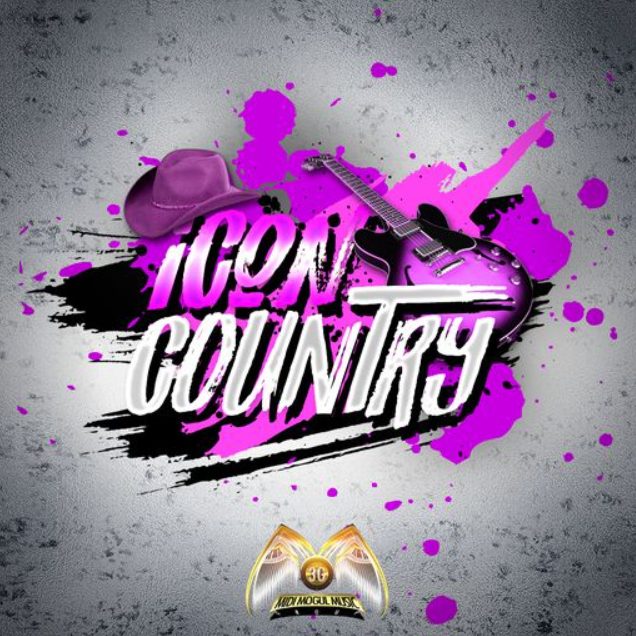 Midi Moguls ICON COUNTRY pink [WAV]