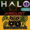 DHPlugins Halo 2 Junglist Expansion [DAW Addons] (Premium)