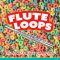 Future Samples Flute Loops [WAV, MiDi] (Premium)