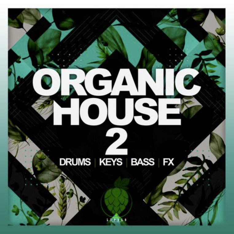 Dirty Music Organic House Vol. 2 [WAV]