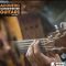 New Beard Media Acoustic Songwriter Guitars Vol 1 [WAV] (Premium)