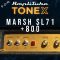 Big Hairy Profiles IK TONEX Marsh SL71 + 800 (Premium)