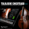 Producers Vault Tololoche Chicoteado VSTi v1.1 (Premium)