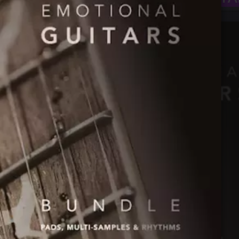 8Dio Emotional Guitars The Collection KONTAKT (premium)