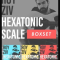 JTC Roy Ziv Hexatonic Scale Masterclass: Box Set TUTORiAL (Premium)